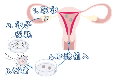 当院について